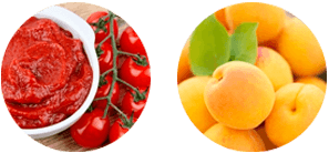 Переработка томатов, фруктов и овощей